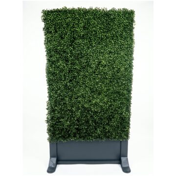 Hedge Wall Divider